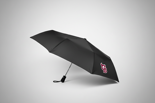 Regenschirm Gießen Bulls